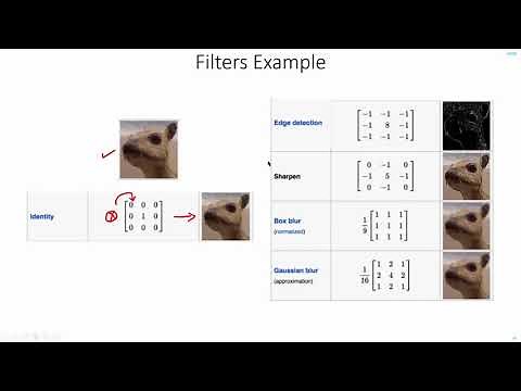 C 4.4 | Intuition behind Filters in CNNs | Object Detection | Machine learning | EvODN