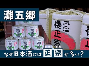 【灘五郷】日本最大の酒どころで飲み比べ｜灘の酒蔵街歩きvlog