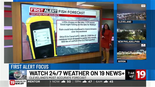First Alert Focus : Fish forecast