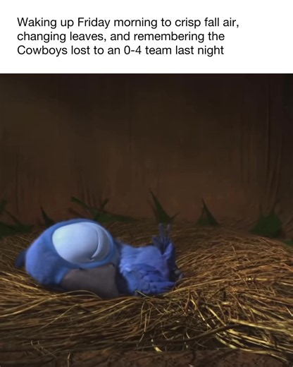 What Happened to the Cowboys Last Night? The Morning After