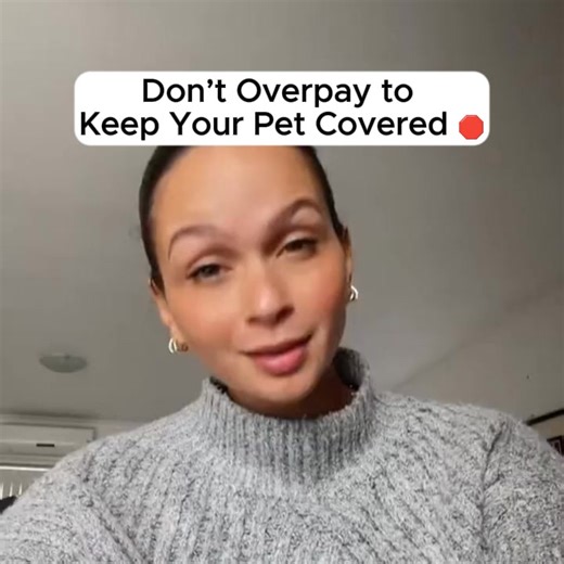 Find & compare 4 of South Africa's top-rated pet insurers - all in one-place! | Pet-insurances.co.za