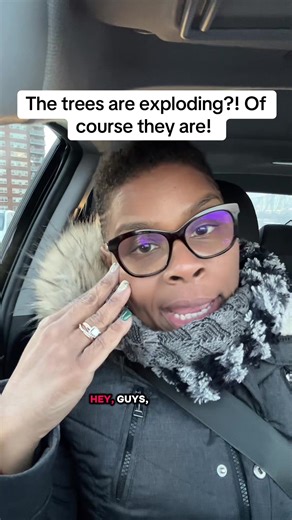 Now the trees are exploding?! What next? #trees #exploding #winterweather