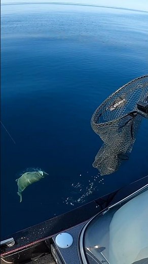 Insane ULTRA CLEAR WATER Lake Trout Footage on Lake Superior (He Landed a GIANT!)