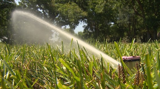 Denver watering rules in effect: Here are the 7 rules