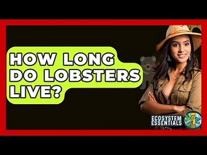 How Long Do Lobsters Live? - Ecosystem Essentials