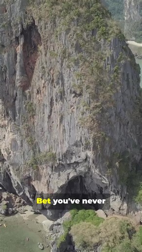 ✨ Discover Thailand's enchanting wild beauty in stunning 4K! 🌿🐘 From lush jungles to vibrant wildlife, get ready to be mesmerized by nature’s wonders. 🌺🐒 Experience the adventure of a lifetime NOW! 🎥✈️ #Thailand #WildBeauty #NatureLovers #4KExperience #TravelGoals #ExploreMore #AdventureAwaits #JungleVibes #Wanderlust #TravelInspo 🌏🦋 Affiliate disclosure: Some links may be affiliate links. For the best eco travel deals, use the link in my bio or check the pinned comment. You can also visi