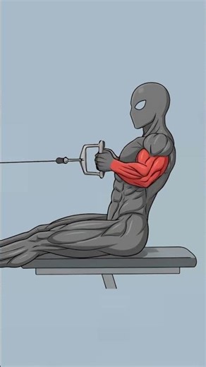 The ONLY Way to Get a V-Shape