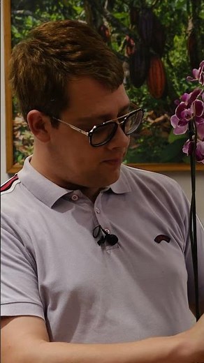 How to water and feed an orchid WITHOUT killing it 🌸💧 (simple method)