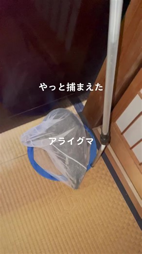 TikTokでりゅうさんをチェック！