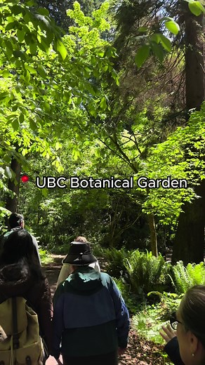 We also highly recommend doing the 1-hour drop-in guided group tours (free with garden admission) at 11:30AM and 1:30PM on Saturdays and Sundays until September 29! We learned so much more about @ubcgarden than if we just went by ourselves 🌱 #ubc #ubccampus #ubclife #ubcstudent #ubcvancouverp #ubcvancouver #ubctok #ubcliving #ubcstudentlife #ubcstudents #ubcv