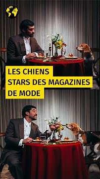 "Dogue" or "Vogue": Will dogs save fashion?