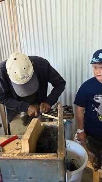 How Ostrich Feather Dusters Are Actually Made | Oudtshoorn South Africa |Family Travel South Africa