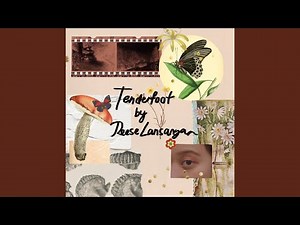 Tenderfoot