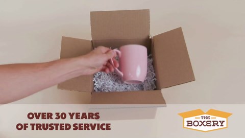 Waveform ProLink: Directional Outdoor 5G NR SA/NSA Modem | x62 Modem Dual SIM | 4x4 High-Gain Antenna | Waterproof CPE for T-Mobile, Verizon, AT&T | Up to 2.5 Gbps | w/Window Entry Cable, UltraPole