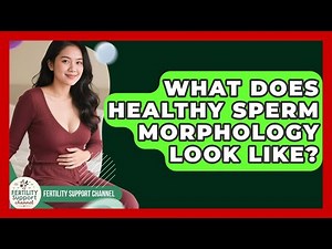 What Does Healthy Sperm Morphology Look Like? - Fertility Support Channel