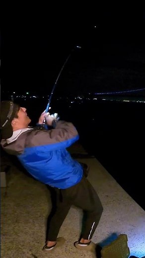 ぜひ試してほしい太刀魚の釣り方