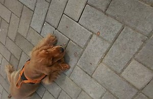 22K views · 1.4K reactions | KeysJore on Reels | Facebook