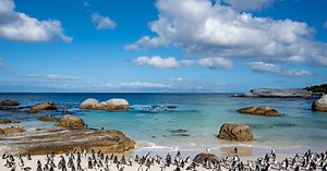 Grand quiz de la mer : 50 questions pour tester vos connaissances sur l’océan et ses mystères