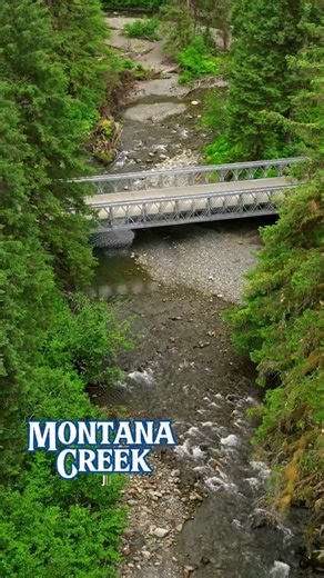 Montana Creek carves through the temperate rainforest of Juneau, Alaska