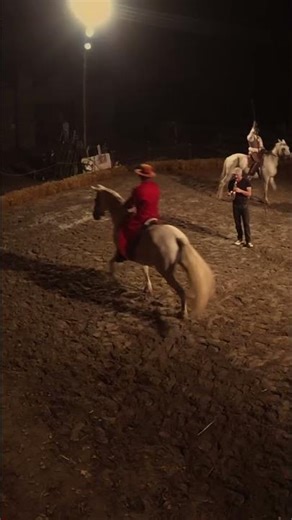Horses, Saxophone, and Riders: This Performance Will Amaze You! #shorts