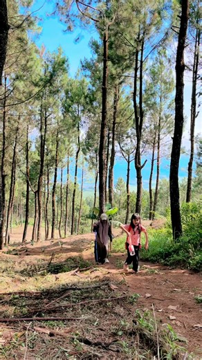 View maksimal bazet minimal 🏕️🔥