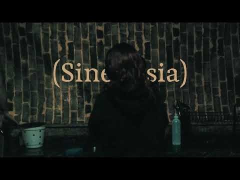 Sinestesia - Microfilme de Terror