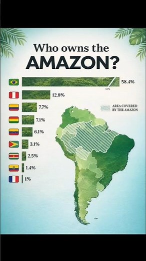 Which country owns the most Amazon rainforest? 🌳 #map #learning #amazon