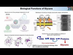 人类糖基组学计划相关研究进展