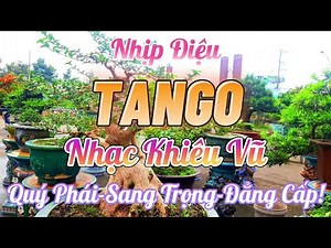 Nhịp Điệu TANGO Khiêu Vũ Quý Phái | Nhạc TANGO Không Lời Tuyển Chọn Hay Nhất | Organ Channel