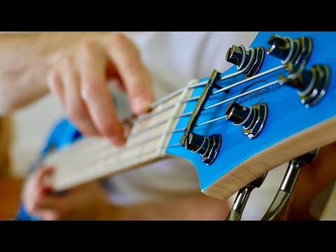 Wellerman (Sea Shanty) | Solo Bass