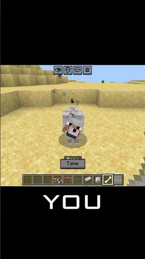 How to give your dog armor in minecraft #minecraft #minecraftshorts
