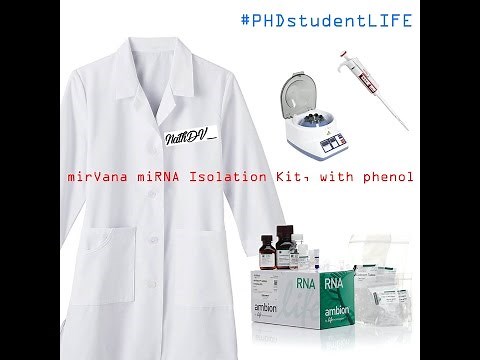 mirVana miRNA Isolation Kit, with phenol. PhDstudentLIFE ep1