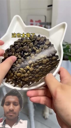 🔥#TIMELAPSE​, START to FINISH Alone BUILDLOG Cabin (Wooden House), HowTo Build Wooden Cabin, Surviv