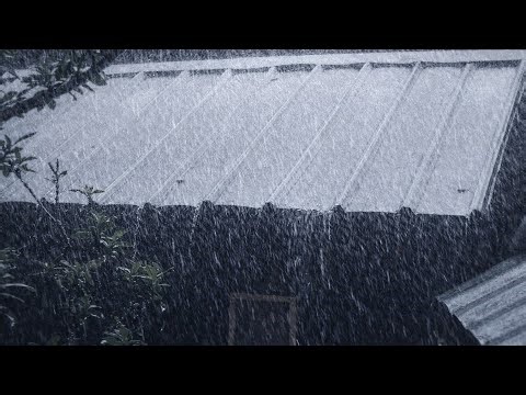 Heavy Rain on Metal Roof for Deep Sleep 🌧️ Relaxing Rain Sounds for Sleeping, Study & Stress Relief