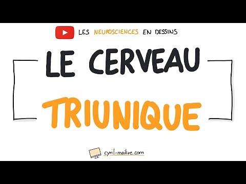 LE CERVEAU TRIUNIQUE - Les neurosciences en dessins