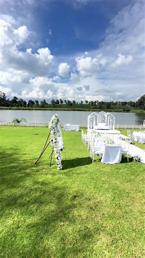 Bridal Shower Setup Ideas for Somali Celebrations