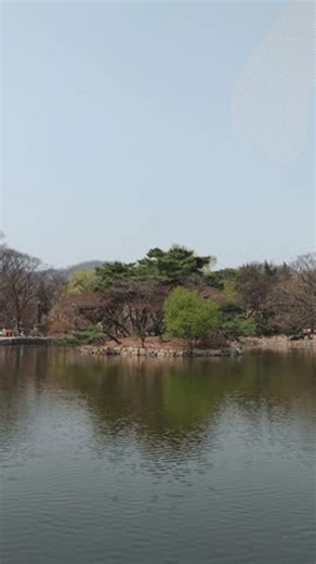 clip-4016517439-changgyeonggung-chundangji-spring-reflection---vertical-4k