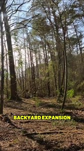 220 reactions · 8 comments | Thinking about a major land clearing...