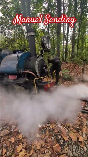 Wheel slip at steep incline, manual sanding Steam Locomotive Darjeeling #steamengine #narrowgauge