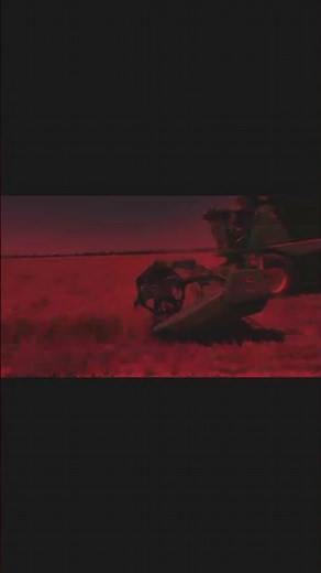 Australian wheat harvest continues 2024