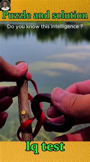 Magical topological puzzle, how to remove the ring #iq #iqoption #iqtest #puzzlechallenge #puzzle