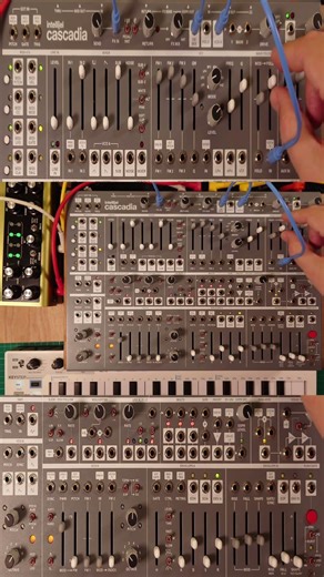 Intellijel Cascadia FX Mix #shorts