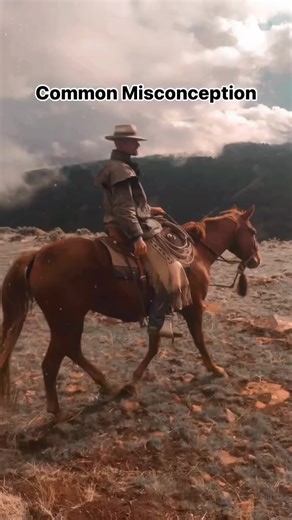 “It takes wet saddle blankets to make a good horse.” This old saying has a lot of truth to it, but it’s commonly misunderstood or oversimplified. Yes, it takes work and a certain amount of well-timed intensity or pressure, as well as purpose and “somewhere to go”. This does not mean thrashing a horse around a roundpen until it’s lathered up - that is hardly ever necessary. Beware of folks that turn the word “roundpen” into a verb…. However, just miles and country won’t make the best horse (exper