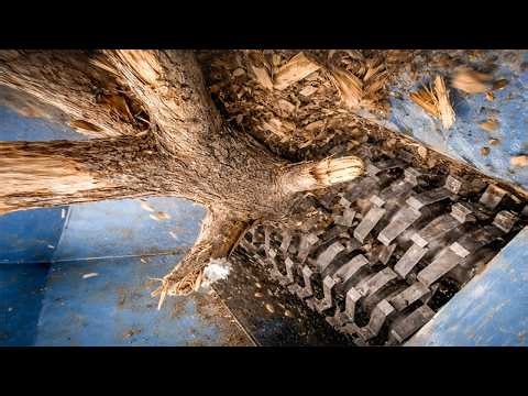 Extreme Monster Shredder Eats Huge Wood And Metal Scraps! Metal Shredding Machine