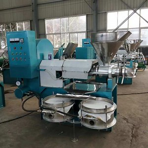 [Hot Item] Cooking Oil Press Manufacturing Machines Groundnut Oil Cold Pressed Machine