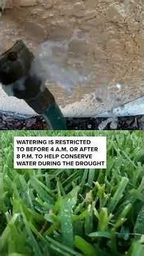 Tampa Bay's water restrictions extended