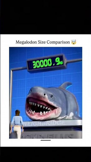 Megalodon vs Humans Size Comparison 😱 Biggest Shark Ever