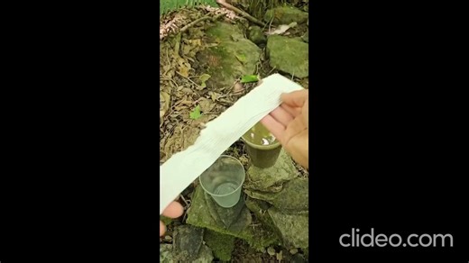 Filtering sediment from muddy water with a paper