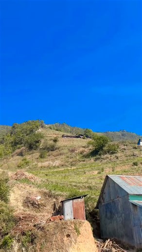 Amrit Raj on Instagram