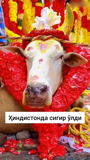 Uzbekway on Instagram